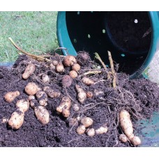 City Pickers Spud Tub Potato Grow Kit – Works Great on Decks and Patios – Low Maintenance & High Potato Yields   568170641